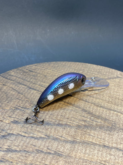 Walleye Nation Creations LLC