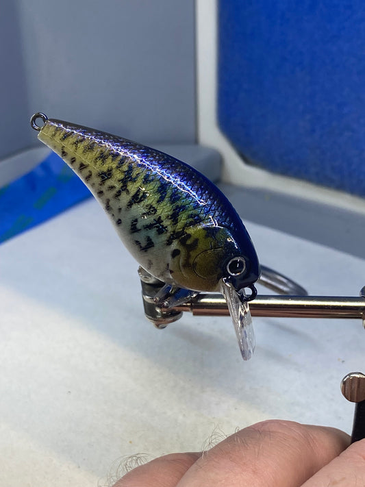Scratch N Dent Square Bill 1.5 Shallow Diver