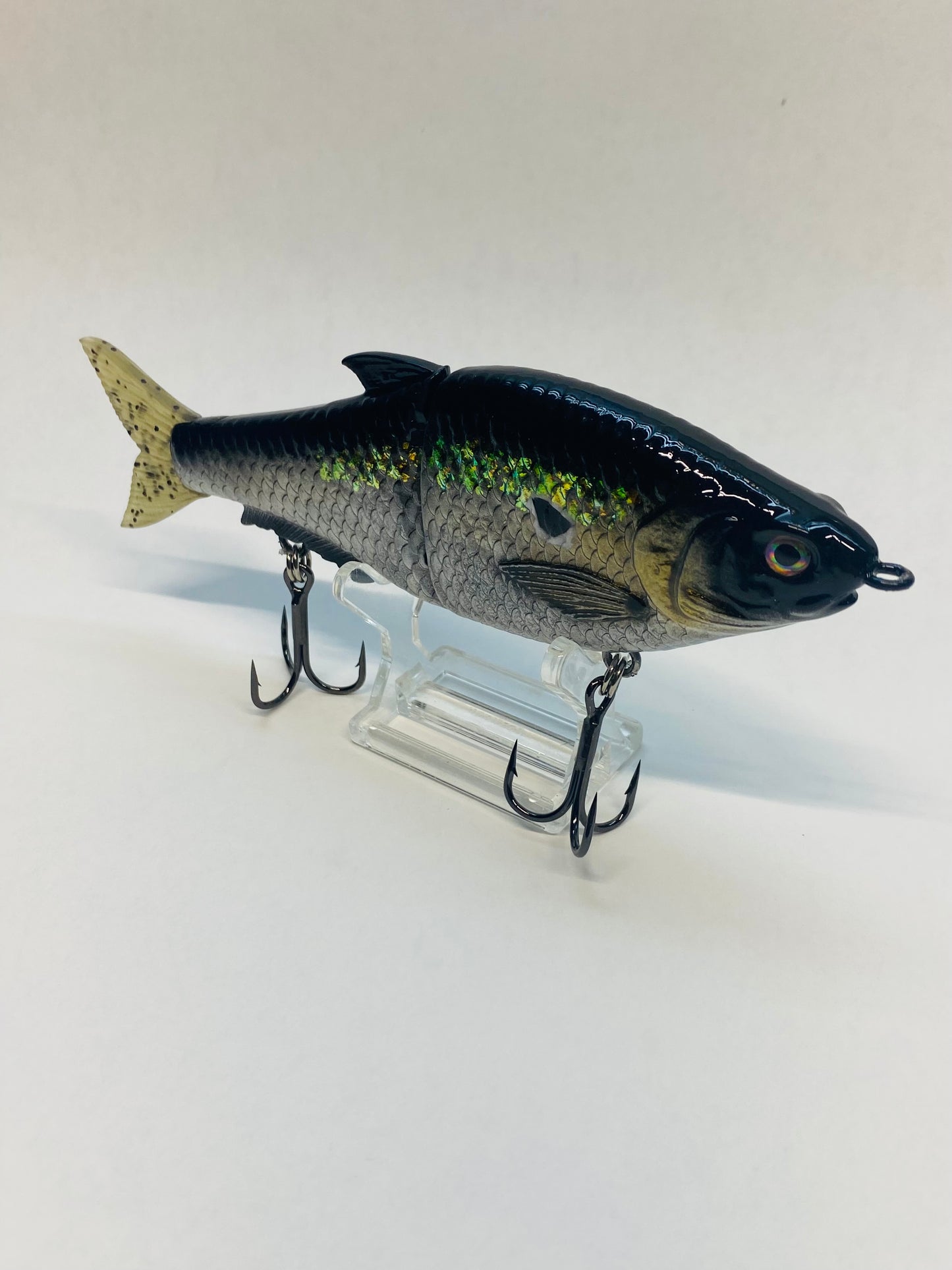 6.3'' Money Shad Swimbait