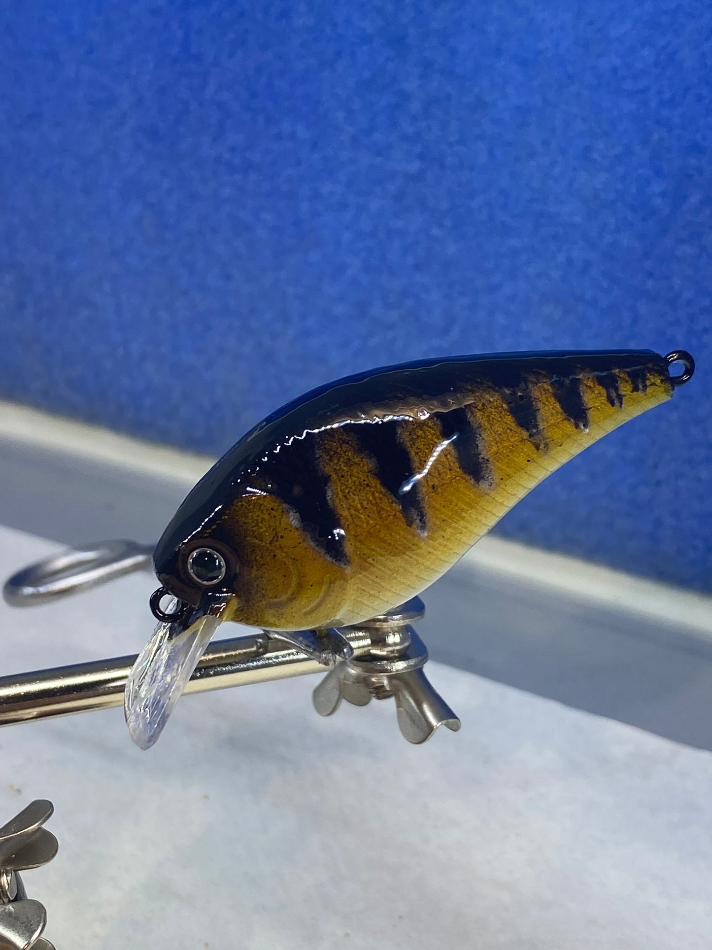 Scratch N Dent Square Bill 1.5 Shallow Diver