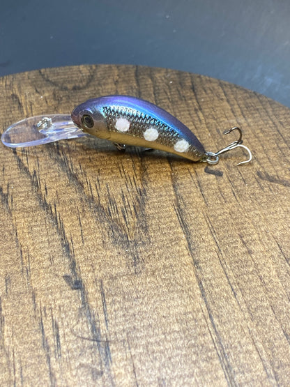 Walleye Nation Creations LLC