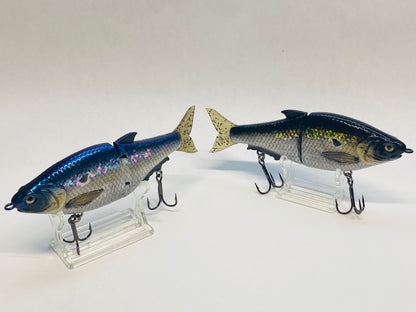 6.3'' Money Shad Swimbait