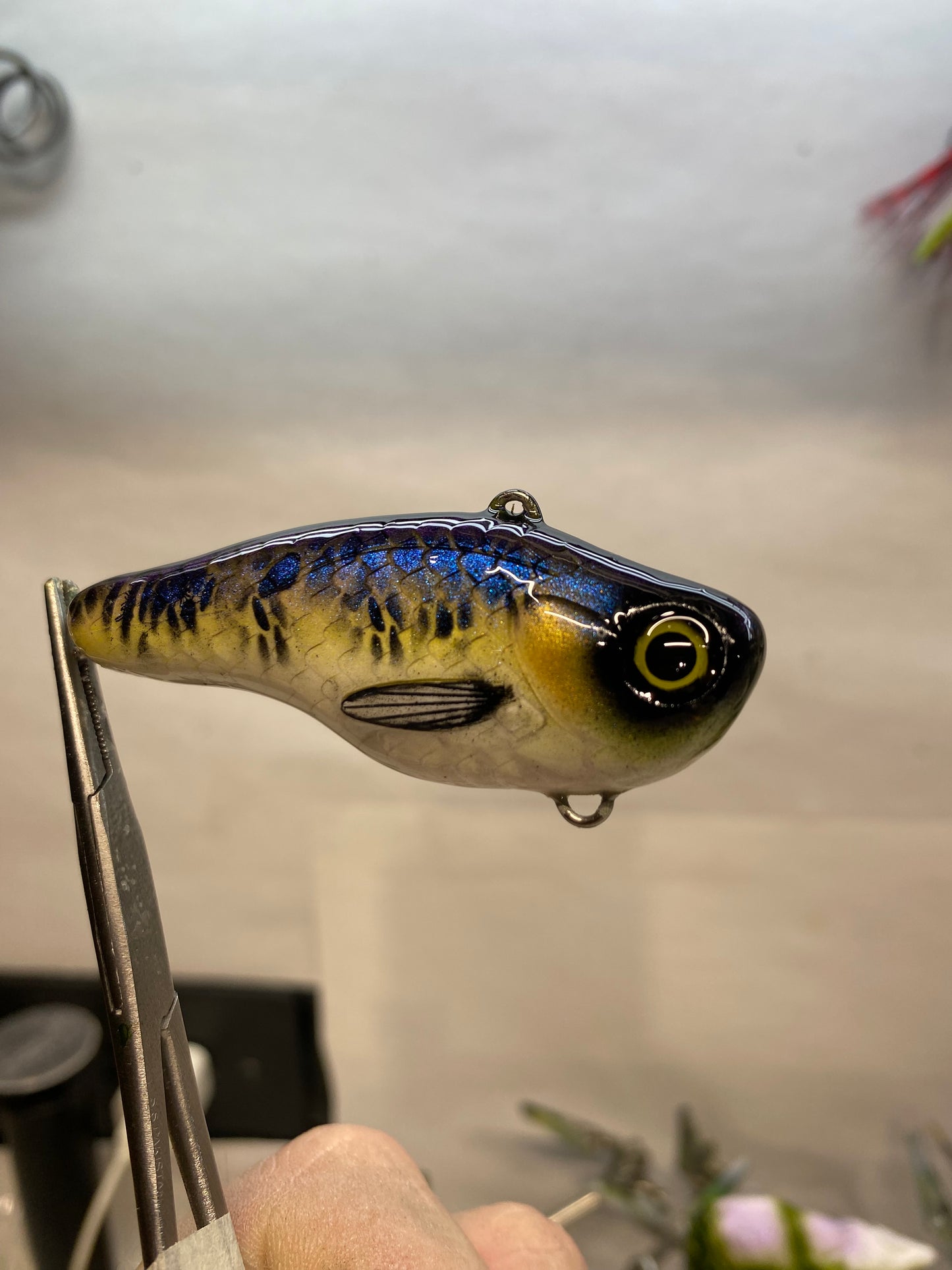 Lil Lipper Lure "Loud n Proud" Series