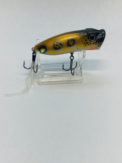 Top Water Popper 2.75"