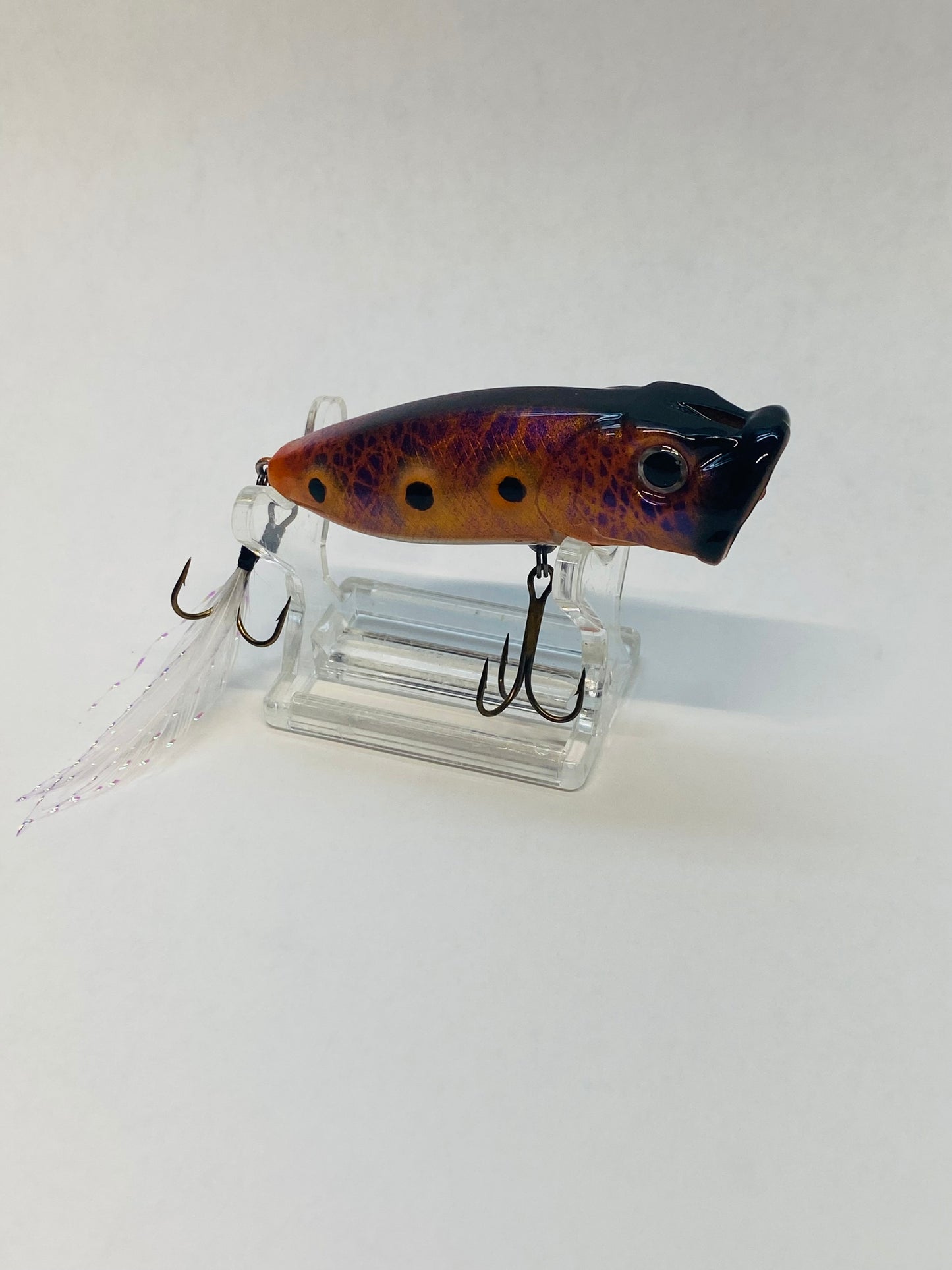 Top Water Popper 2.75"