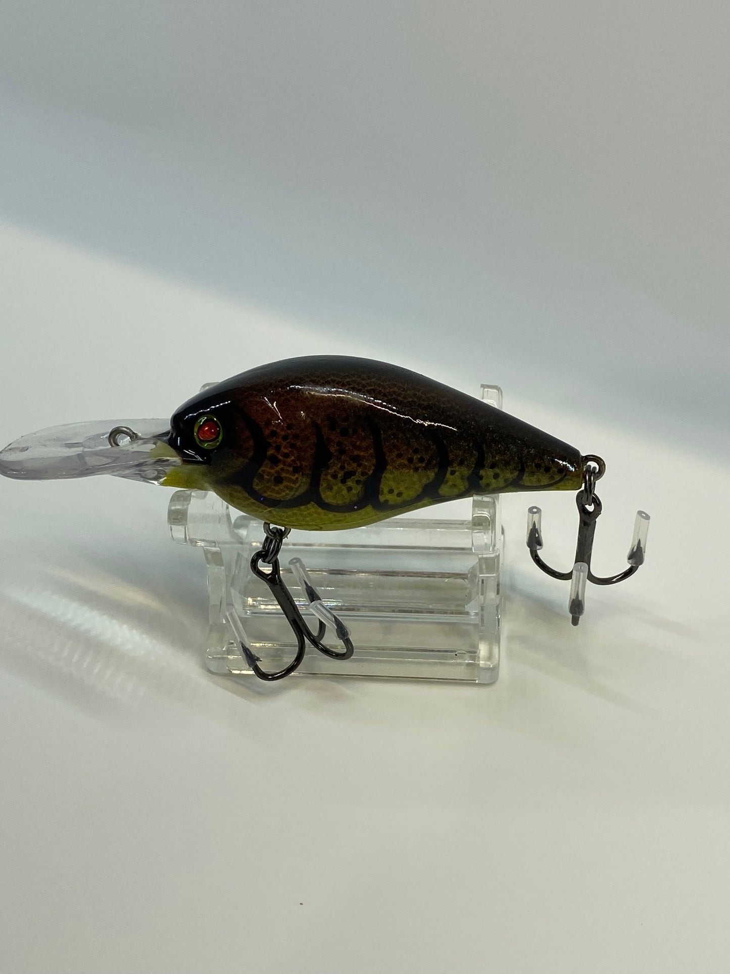 Medium Diver - Crawfish Silver Belly