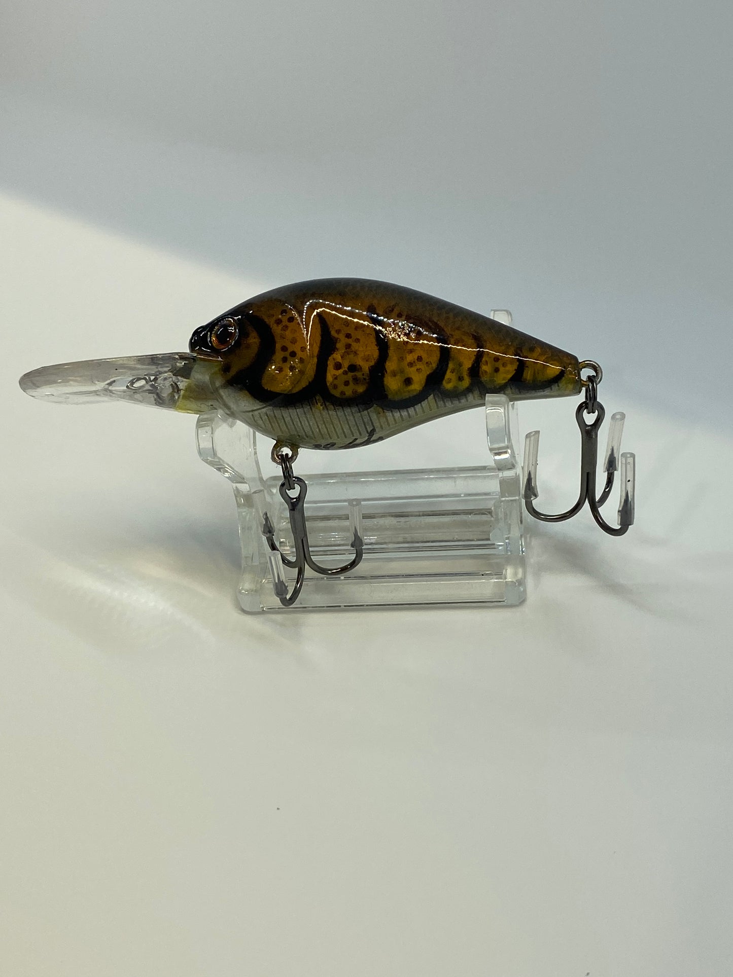 Medium Diver - Crawfish Silver Belly