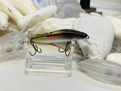 Eastern Red Fin Dace 2.25" 2025