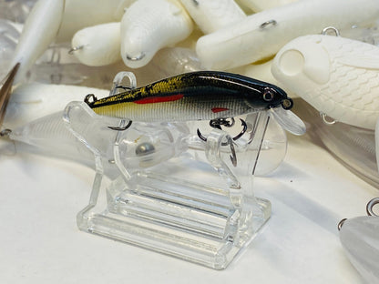 Eastern Red Fin Dace 2.25" 2025