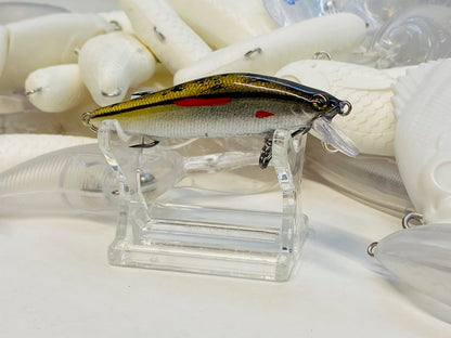 Eastern Red Fin Dace 2.75'' 2025