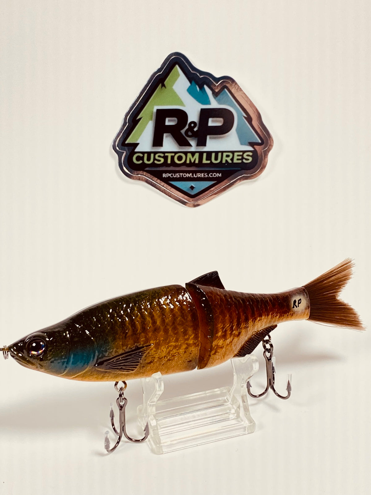 6" Rad Shad