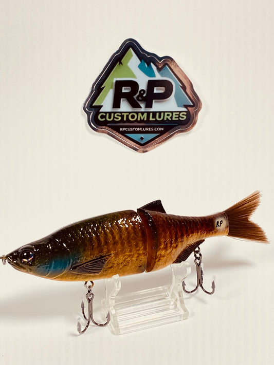 6" Rad Shad