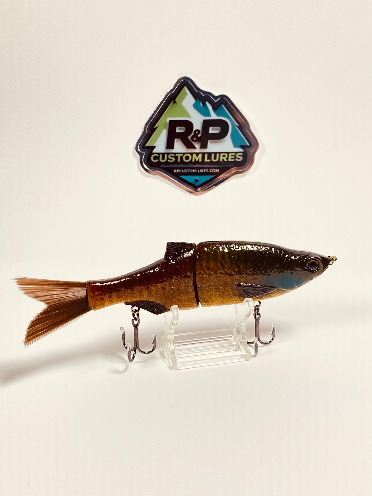 6" Rad Shad