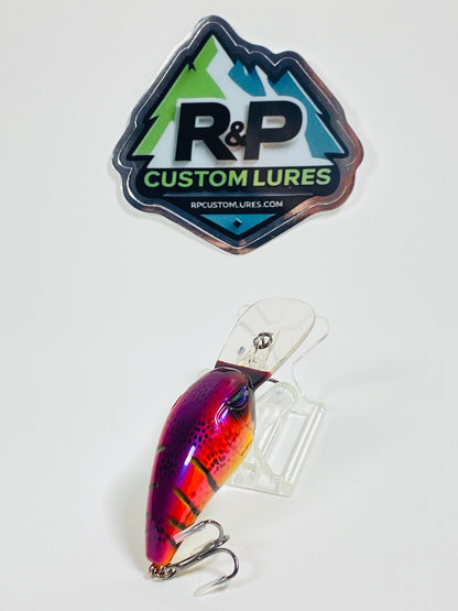 Dive 55 Crank Bait